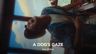 Watch Dog's Gaze Trailer