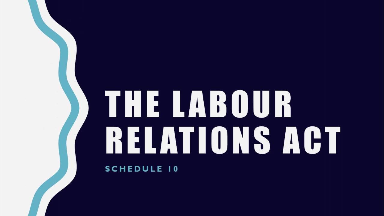 Bargaining Council Agents Their Powers and Functions YouTube