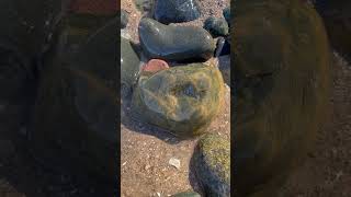 The beauty of Lake Michigan rocks #lakemichigan #rockhound #rocktumbling #michigan #mentalhealth