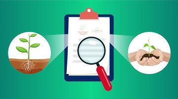 Molecular membrane separation: plants inspire new technologies