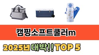 사용자 기준 캠핑소프트쿨러m 추천 BEST 5