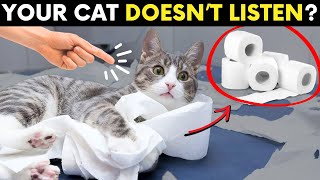 What to Do When Your Cat Refuses to Listen (This Simple Trick Works Every Time)