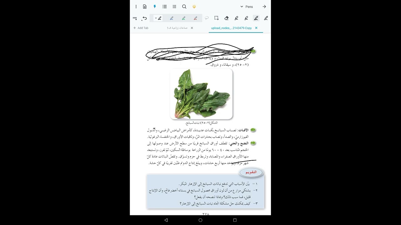 الفصيلة الرامرامية 