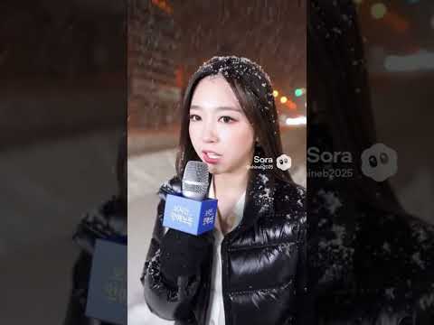 폭설 레포트 #아나운서