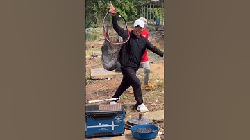 Muốn đi câu phải hỏi chị Google #chungnguyenfishing #shorts