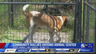 Community rallies around Sevier Animal Care Center