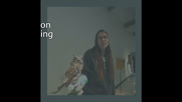 Touchly with Occlusion Inpainting out now!