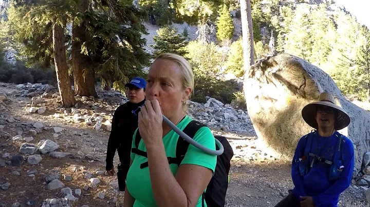 Cucamonga Peak via Ice House Canyon