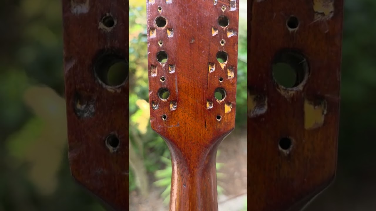 The Vernon Rare 12 string Mandolinetto Early 1900s Lyon & Healy