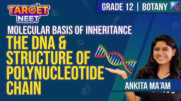 The DNA & Structure of Polynucleotide Chain | Molecular Basis of Inheritance |NEET 2024|Ankita Ma