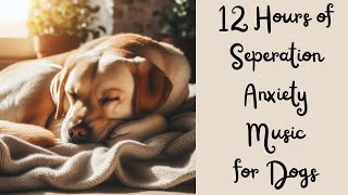 Seperation Anxiety Music for Dogs: 12 Hours of Soothing Music