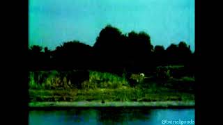 Verisimilitude
