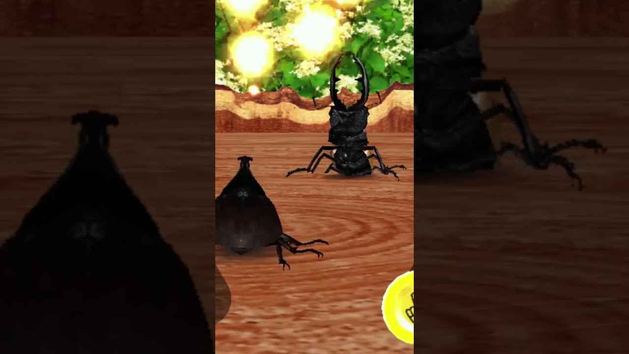 甲虫王者ムシキング - ヒメカブト アイキャッチ + 究極必殺技 - YouTube