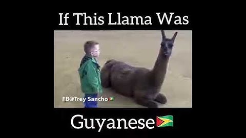 Guyanese funniest video