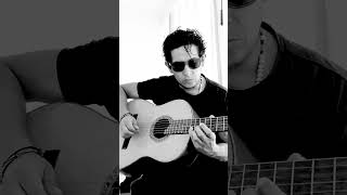 Ekhymosis - La decisión