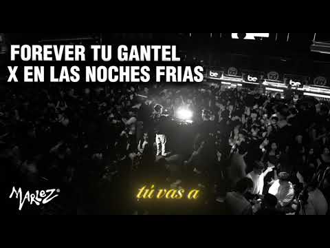 FOREVER TU GANTEL X EN LAS NOCHES FRIAS @MARLEZ 
