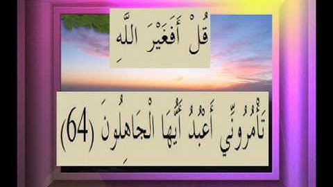 القرآن الكريم سورة الزمر الأية 64