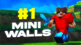 miniwalls montage