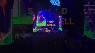 Lynyrd Skynyrd  Live at Monsters of Rock - April 2026 #lynyrdskynyrd #southernrock #rock #rockstar