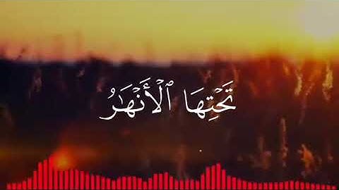 تلاوة خاشعة تهز القلوب | سورة التحريم بصوت القارئ محمد اللحيدان