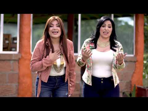 Video: ¿Las alondras cantan?