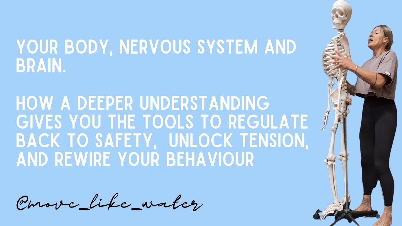 The connection of the brain, body and autonomic nervous system 