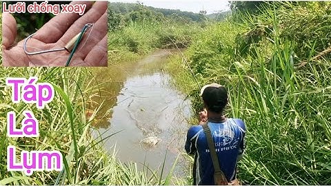 Câu cá lóc_Hành trình săn hàng mùa khô cạn @Hữunghị tv