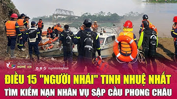 Bộ Quốc phòng điều 15 "người nhái" tinh nhuệ nhất tìm kiếm nạn nhân vụ sập cầu Phong Châu