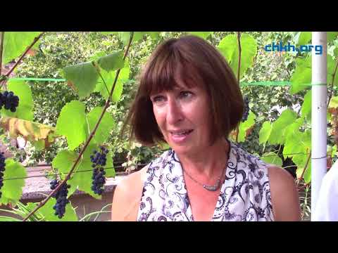 ამერიკის ელჩი პოლიტიკაში ქალების ჩართულობაზე