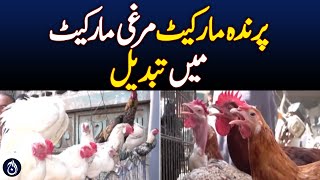 Lalukhet Bird Market Turns Into Chicken Market - Aaj News