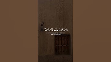 راحة نفسية🤍 #quran #قران_كريم #اكسبلور #لايك #قرآن #راحة_نفسية #فلسطين #المصحف#الرحمن#تلاوات_هادئة