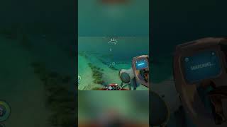 Seaglide Lost: Facing the Abyss! #shorts