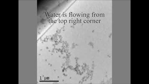 Nanoparticle Aggregation Visualized with Nanoscale Resolution