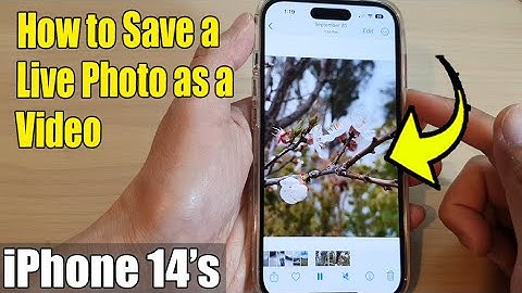 iPhone 14