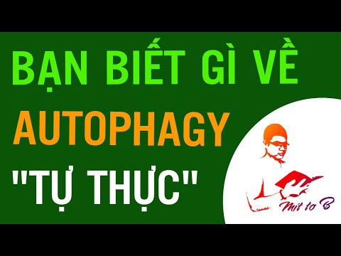 Video: Lysosome autophagy là gì?