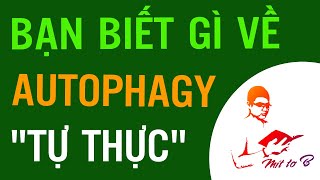 😀 Things You Need to Know About Autophagy 