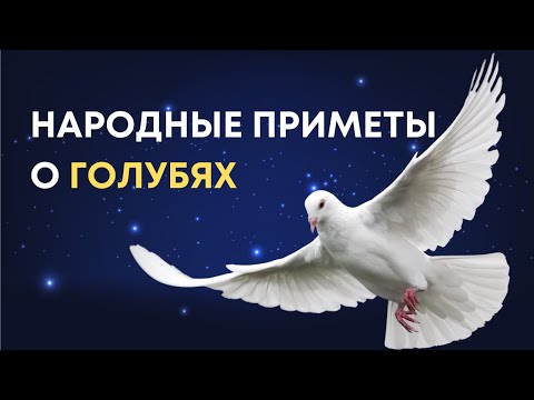 Голуби - вестники судьбы: народные приметы и суеверия