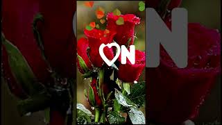 آجمل حالات واتس اب relaxingmusic music relaxing nature love lettres loveletter name love