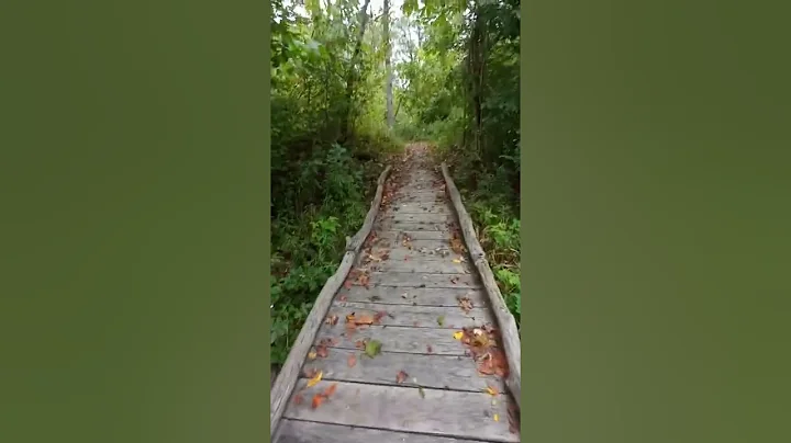 Metro park walk last fall 2021
