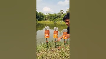 Unbelievable technique plastic bottle trap fishing system #fish #trap #fishing #viral #shorts