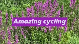 Walk in Bellou-le-Trichard 2021/Amazing cycling