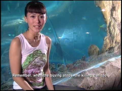 (WildAid) - Phyllis Quek (English Subtitled)