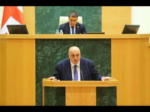 მინისტრის საათის ფორმატში ირაკლი ქარსელაძე დეპუტატების მიერ დასმულ კითხვებს პასუხობს