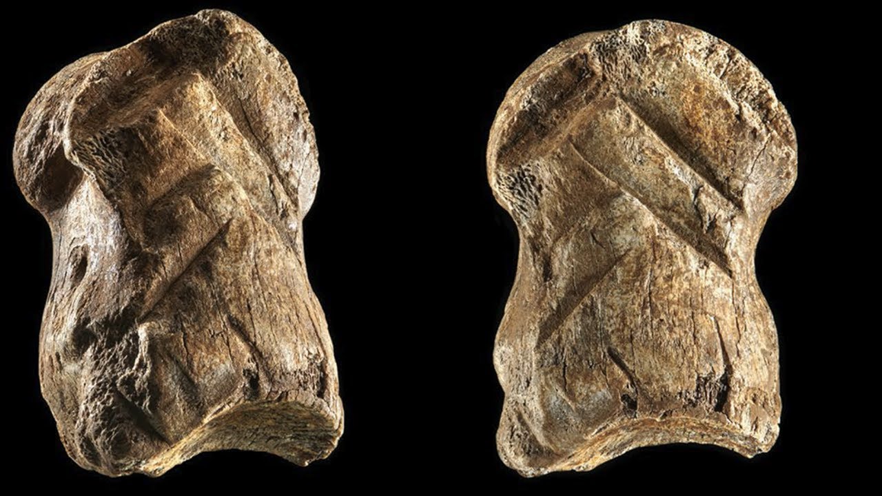 Neanderthal-carved bone discovered in the Unicorn Cave