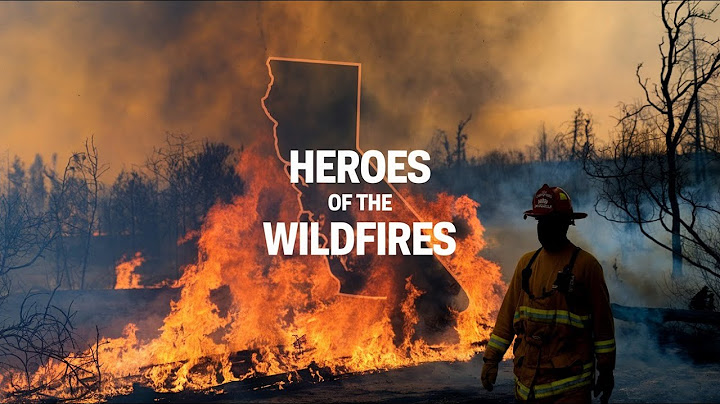 How the LA wildfires unfolded and what’s needed for recovery