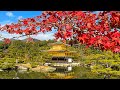 "IL GIAPPONE PI BELLO" - AUTUNNO A KYOTO