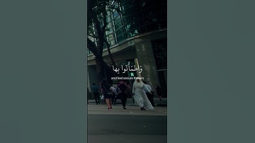 ٱيات من القران ❤️ #قرآن #قران_كريم #قران #قرآن_كريم #تلاوات #تلاوة_خاشعة #تلاوة_هادئة #تلاوة_مميزة