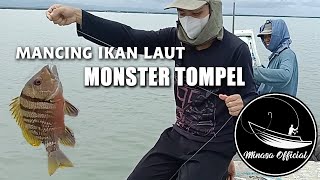 Mancing Ikan Predator Di Tengah Laut || Fishing Hunting