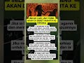 semoga bermanfaat