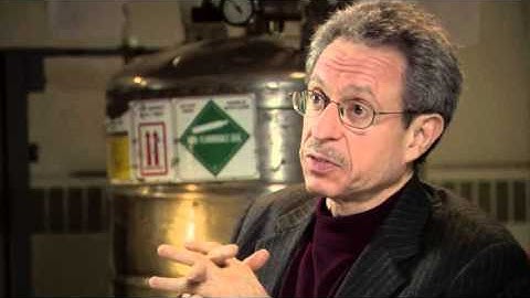 Seth Lloyd - What Makes the Universe Fascinating?